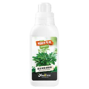 悠利鸭脚木肥料专用肥鹅掌柴鸭掌木盆栽家用植物营养液绿叶