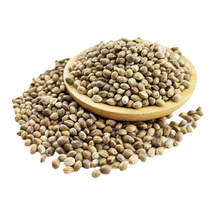 炒火麻仁中药材饮片中药材去壳另售火麻仁中草药店铺大全CF