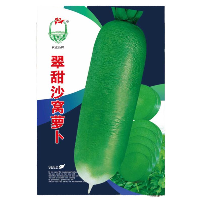 天津沙窝萝卜种子正宗特产新鲜生吃绿皮青大水果萝卜比潍坊县脆甜