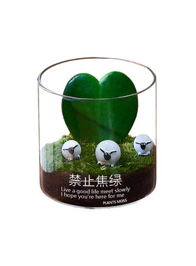 一片心多肉520七夕情人节礼物送