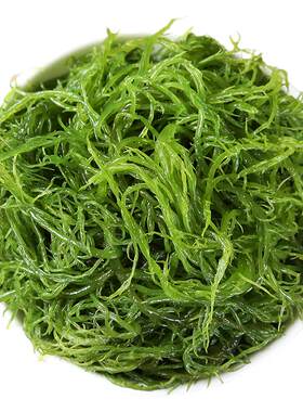 龙须菜海菜海藻火锅食材海草