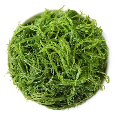 龙须菜海菜海藻火锅食材海草