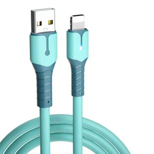 适用苹果快充数据线液态硅胶iPhone13手机12充电线xsmax带灯11pro器7P加长2米ipad七8Plus平板6s闪充xr软胶SE