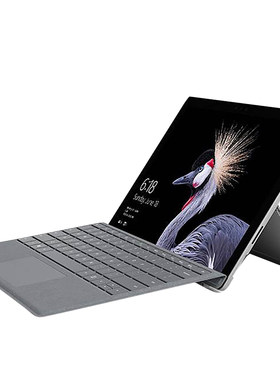 SurfacePRO5内存升16G硬盘扩512G