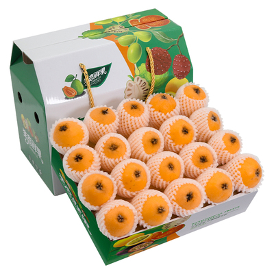 顺丰次日达丨云霄甜枇杷10斤礼盒