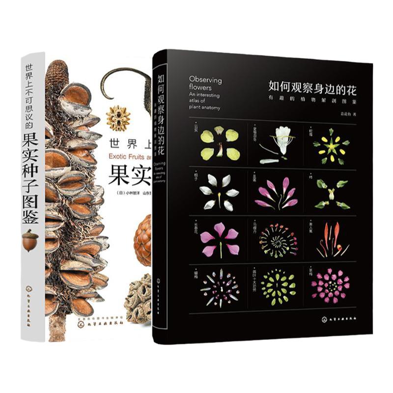 2册 如何观察身边的花 有趣的植物解剖图鉴 世界上不可思议的果实种子图鉴 一本新颖的果实种子视觉图鉴 自然探索科普课外阅读书籍
