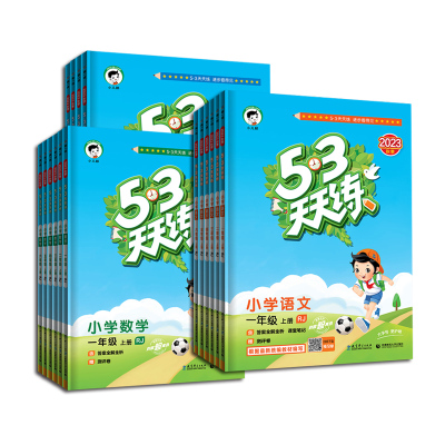 53小学53天天练同步练习