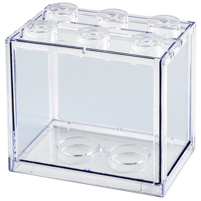 办公室桌面亚克力泰国斗鱼