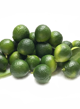 新鲜海南奶茶店专用包邮小金桔