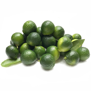 新鲜海南奶茶店专用包邮小金桔