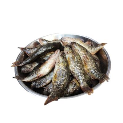 老头鱼黑龙江特产东北鲜活