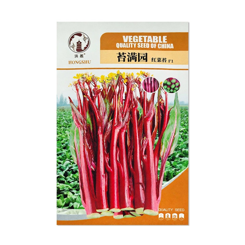 洪蔬苔满园红菜苔种子