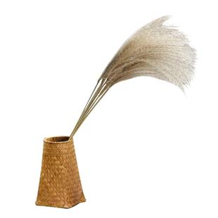 天然芦苇干花永生花束橱窗装饰摆件芦苇花拂尘花麦穗干花婚庆道具