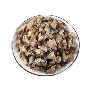 海瓜子新鲜速冻海螺丝海锥海钉特大号海捕海鲜水产商用团购批发