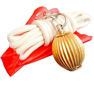 武术流星锤软兵器锤绳初学训练铜制武字南瓜橡胶不锈钢流星锤实心