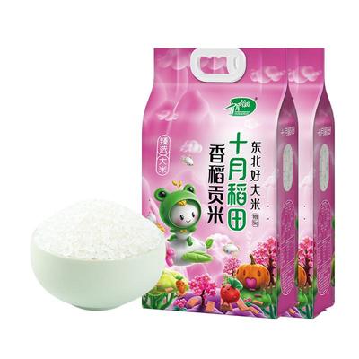 十月稻田香稻贡米5kg*2东北大米