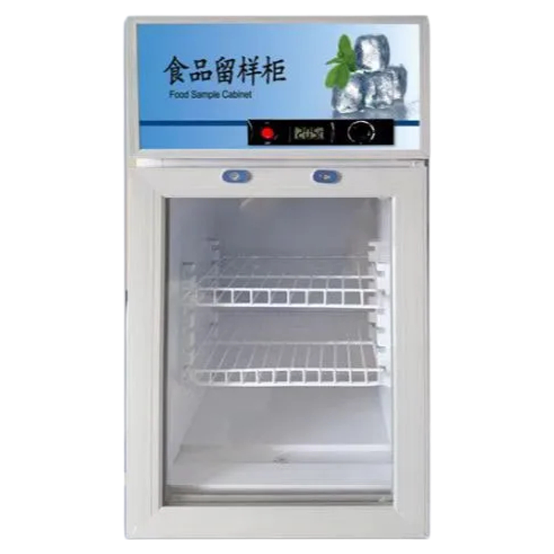 幼儿园食品留样柜双锁温度显示厨房小型保鲜柜蔬菜饮料冷藏展示柜