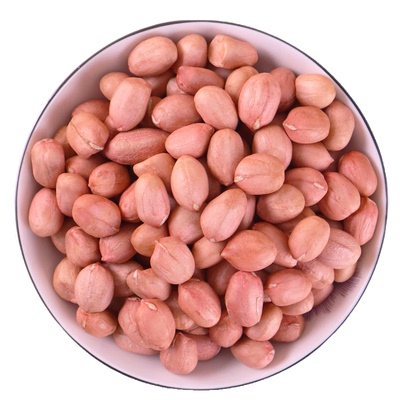 2025年新上市新货新鲜大颗粒生花生米河南南阳大白沙5斤农产品