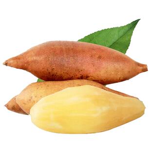 云南天山红泥沙黄心雪莲果10斤中大果新鲜应当季水果特级整箱包邮