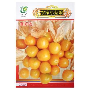 农家甜菇娘小黄姑娘果种子 春秋四季水果种子 阳台盆栽大田野果种