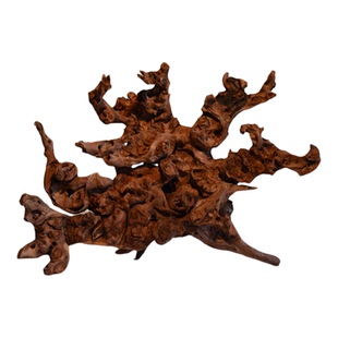 水沉木金丝红木根雕根艺天然树根鱼缸造景珊瑚木紫柚木自然原木龟