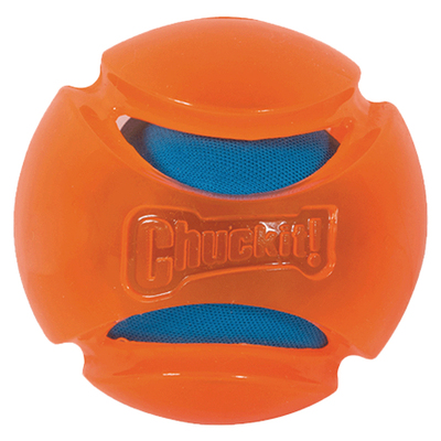 petmate狗狗玩具巡回互动