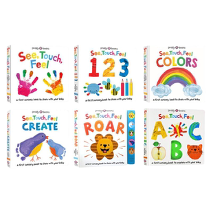 See Touch Feel感官认知触摸书 英文原版绘本 DK触摸书婴儿早教 Roger Priddy 纸板视觉触觉感官认知 颜色数字字母英语启蒙