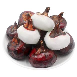 新鲜马蹄荸荠农家现挖5斤地栗地梨应季水果蔬菜珍珠马蹄大果整箱