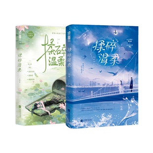 正版揉碎温柔1+2套装原名心肝宠九棂著先婚后爱都市言情小说