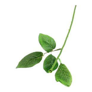 仿真玫瑰花杆 丝网花用胶包铁丝花杆香皂花杆插花手工带叶玫瑰杆