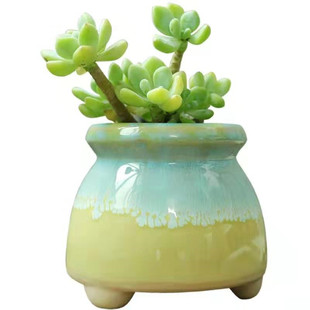 陶瓷多肉花盆创意粗陶素烧植物手绘套装拇指流釉窑变多肉小盆栽