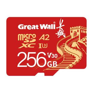 长城存储卡256G行车记录仪TF内存卡高速监控摄像头游戏机相机SD卡