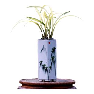 翁源兰花喜花里四季建兰茶桌兰掌中宝天鹤牡丹富山奇蝶开花浓香型