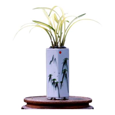 喜华里迷你茶桌兰掌中宝天鹤牡丹