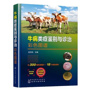牛病类症鉴别与诊治彩色图谱金东航养牛与牛病防治牛病治疗全书兽医王春敖养牛书籍大全诊断养牛彩色图谱兽医牛病彩色书籍牛病诊治