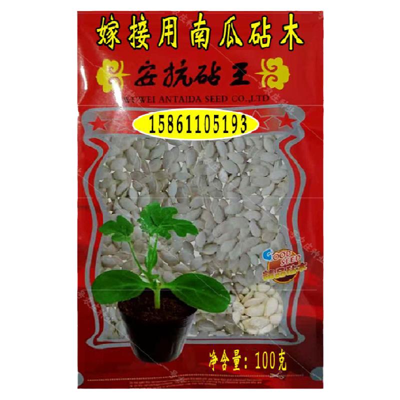 南瓜嫁接砧木种子黄瓜甜瓜