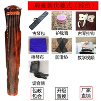 7 основных аксессуаров (туннелей) недостатков коричневого фукси