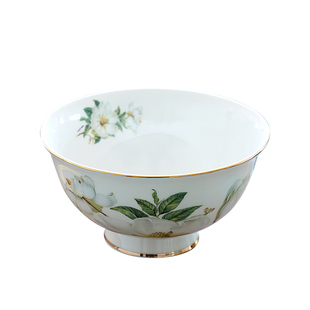 骨瓷碗家用碗碟套装陶瓷吃饭碗餐具北欧4.5英寸面碗米饭10个轻奢