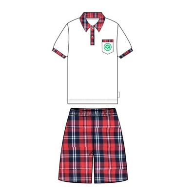 涞水小学校服夏季款学校统定同款