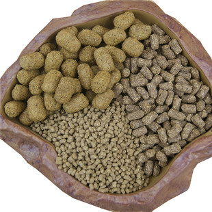 宠物 爬虫运输加热包暖宝宝发热包40/72/110小时持续加热冬季