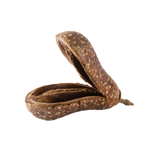 南美缸造景底床修饰果壳进口天然植物洋梨果干花diy插花装饰干果