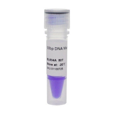 白鲨BiosharpBL634A 50bp DNA Marker 分子量标准(50-600bp)