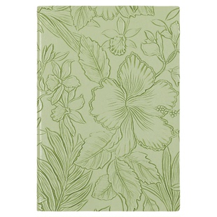 笔记本子高颜值加厚皮面记事本2025新款软皮横线日记本简约ins女生课堂读书笔记摘抄记录本工作会议本可平摊