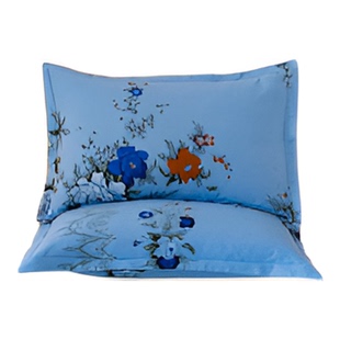 枕头套全棉纯棉 枕套2025新款纯棉一对装枕套48cmx74cm成人老粗布