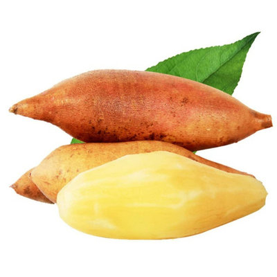 雪莲果新鲜红心特级脆甜