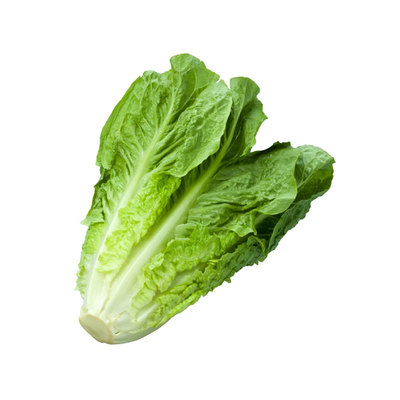 散叶罗马生菜西餐蔬菜沙拉食材