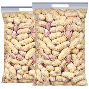 龙岩蒜香花生500g带壳花生米水煮湿烤咸干晒干五香花生炒货零食