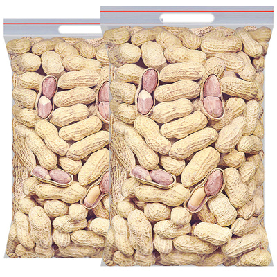 龙岩蒜香花生500g带壳花生米水煮湿烤咸干晒干五香花生炒货零食