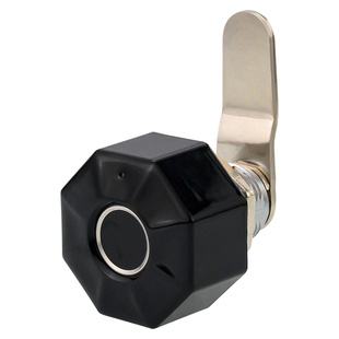 智能文件柜电子锁双开铁皮柜连杆锁办公更衣书柜通用锁信箱指纹锁