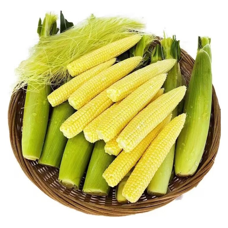 新鲜玉米笋迷你小玉米芯甜玉米笋